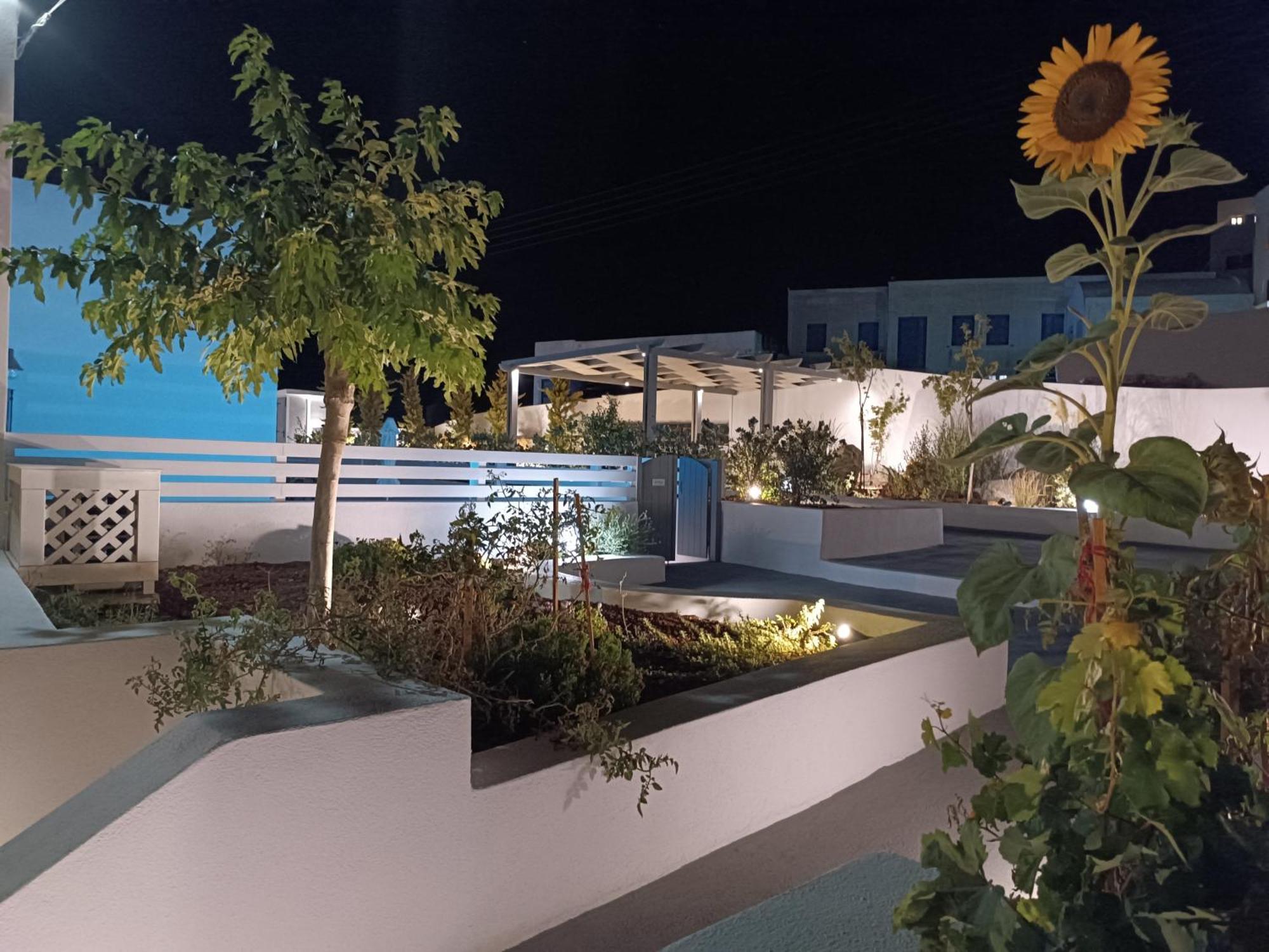 אימרוביגלי Anthemis Suites מראה חיצוני תמונה
